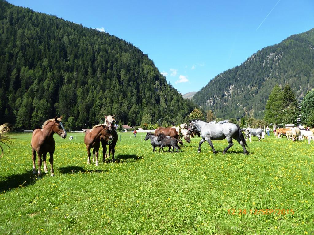 Gaestehaus Truskaller Hotel Малиниц Екстериор снимка