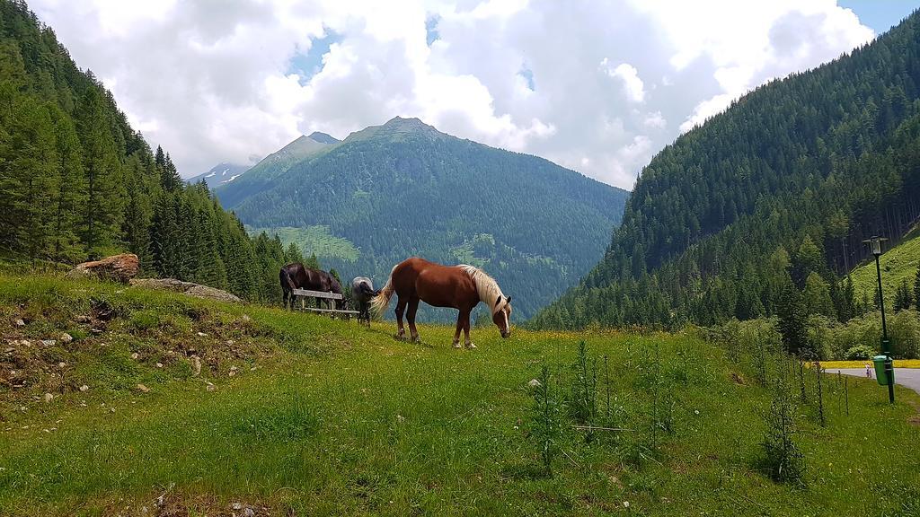 Gaestehaus Truskaller Hotel Малиниц Екстериор снимка